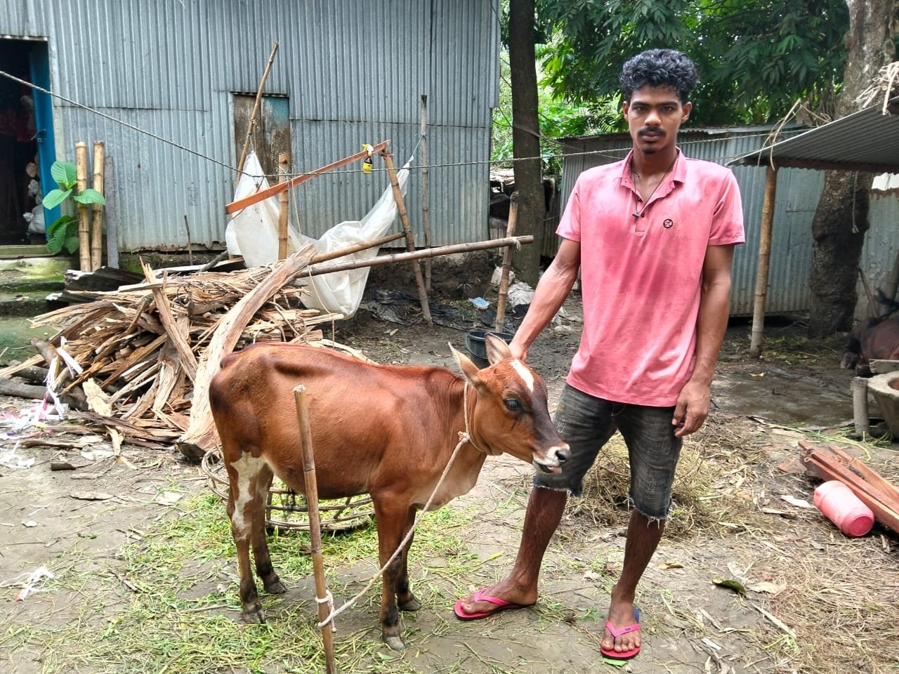 Young man in pink with a cow beside a house.